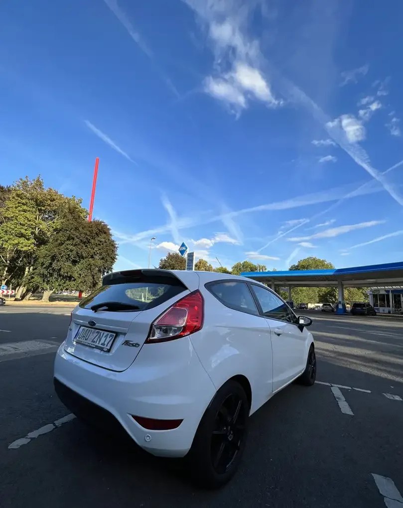 Ford Fiesta Celebration - Imagine 6
