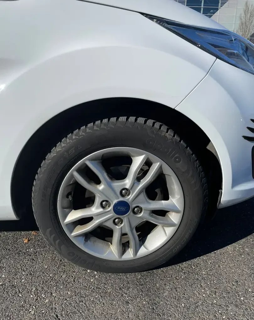 Ford Fiesta Celebration - Imagine 9